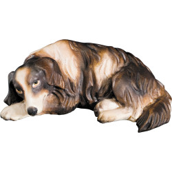 Perro tumbado